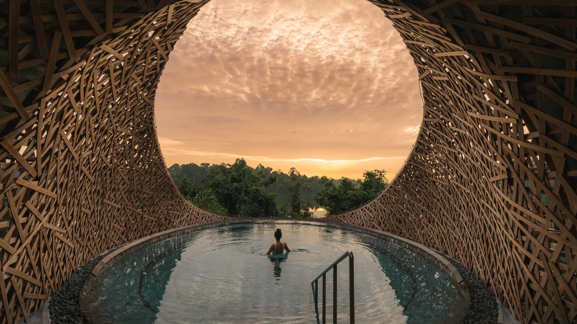 Banyan Tree