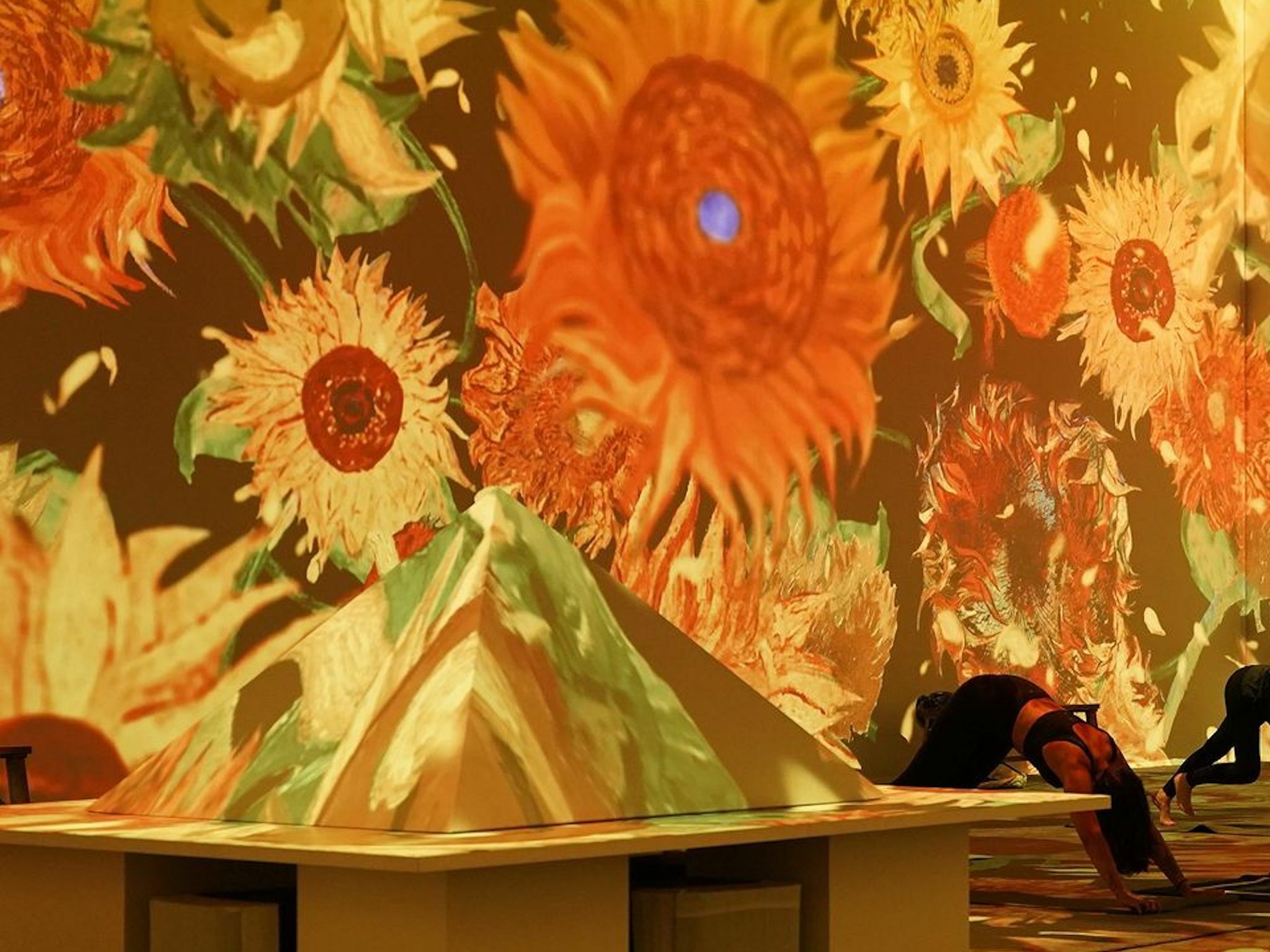 Van Gogh Immersive Experience