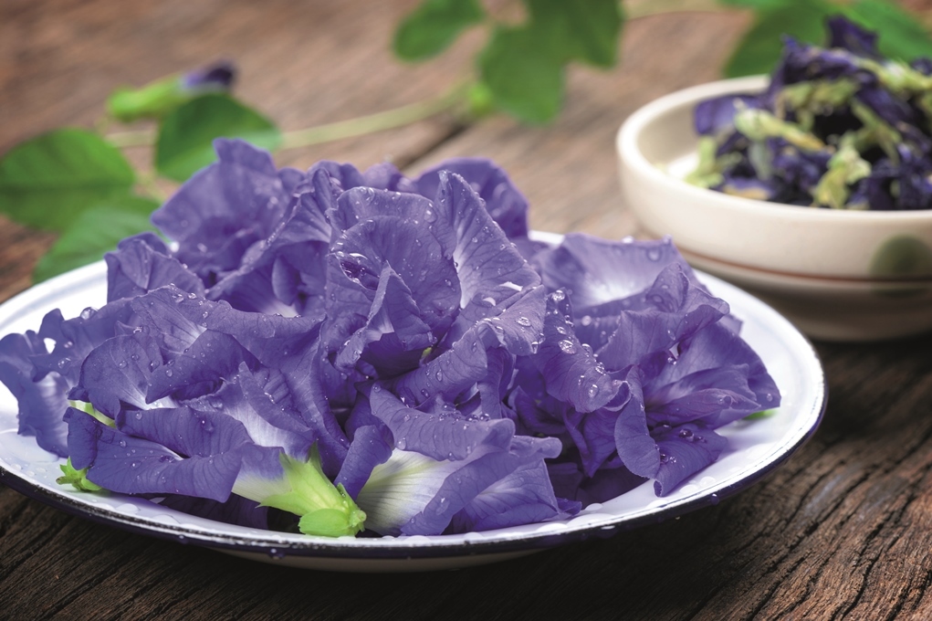 Blue Pea Flowers