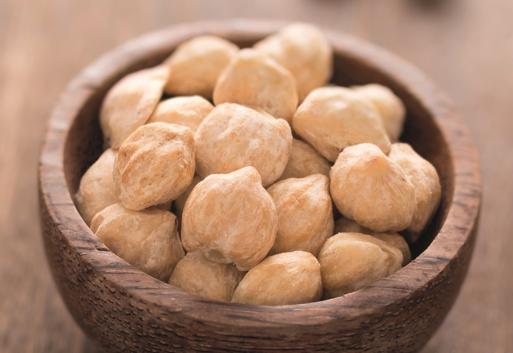 Candlenut