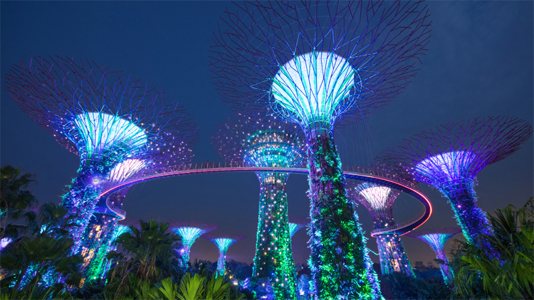 Gardens by the Bay
