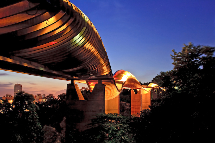 Henderson Waves Bridge