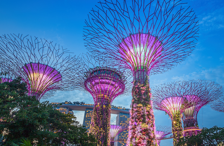 Gardens by the Bay