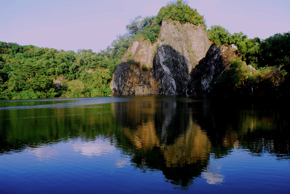 Bukit Timah Nature Reserve