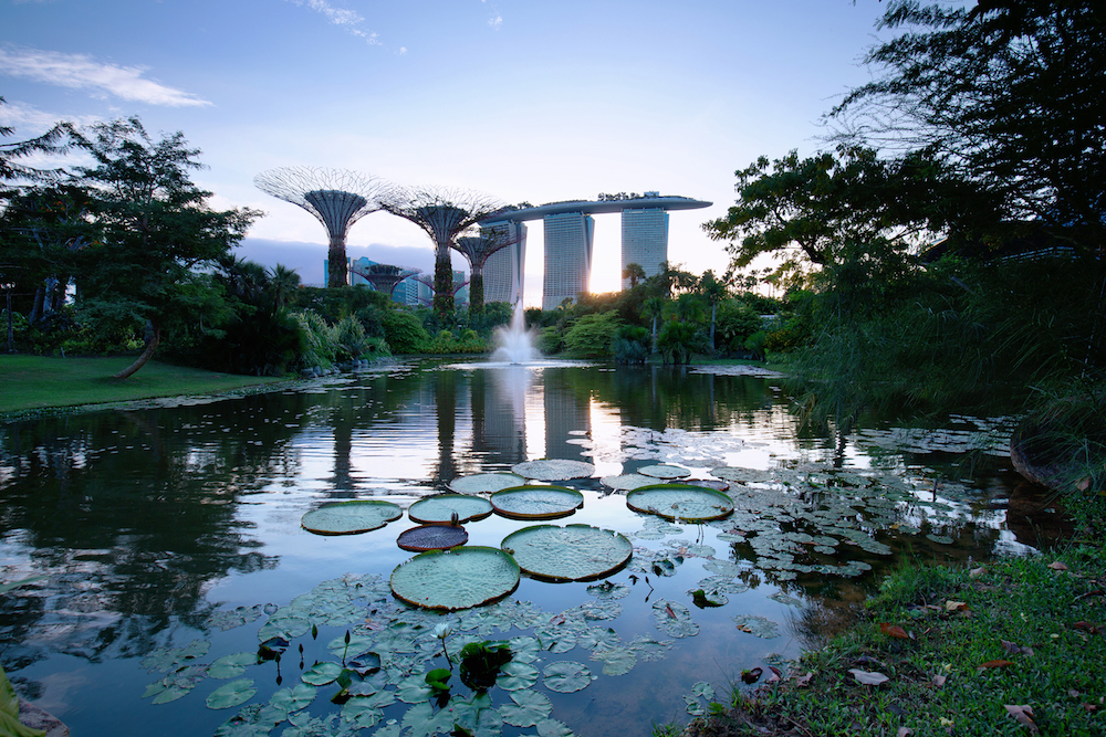 Dragonfly and Kingfisher Lake - Gardens by the Bay