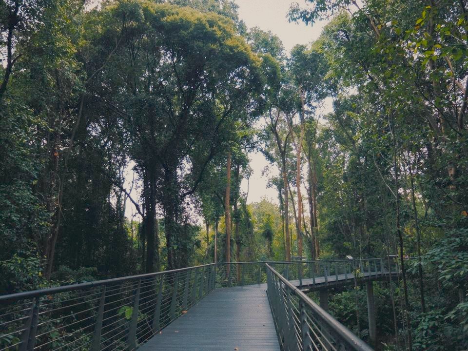 The SPH Walk of Giants
