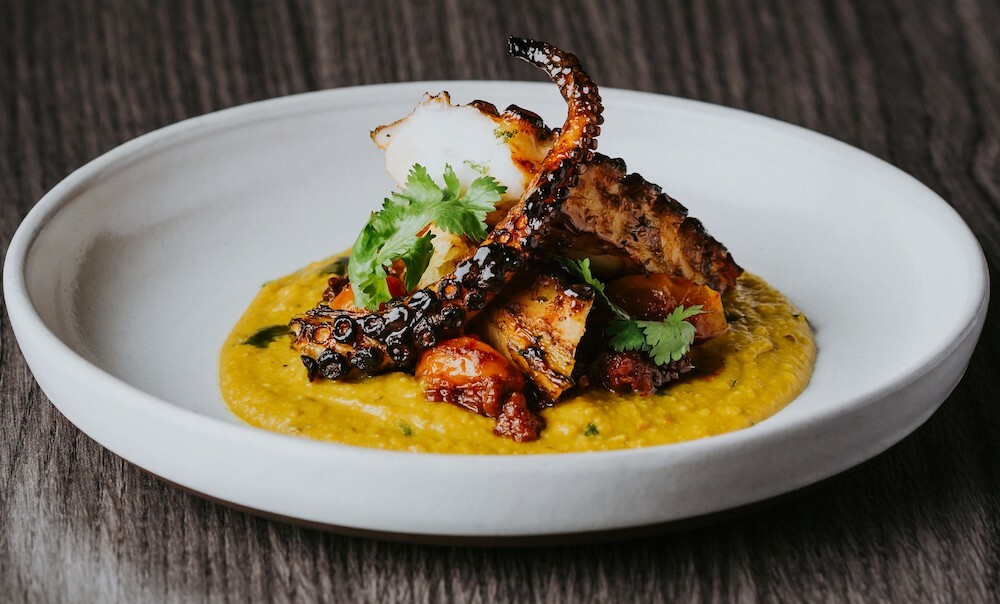 Grilled octopus with masala lentil