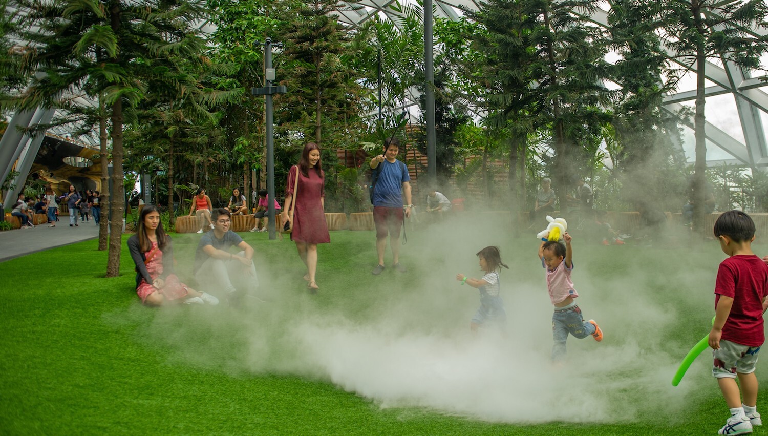 Foggy Bowls at Canopy Park