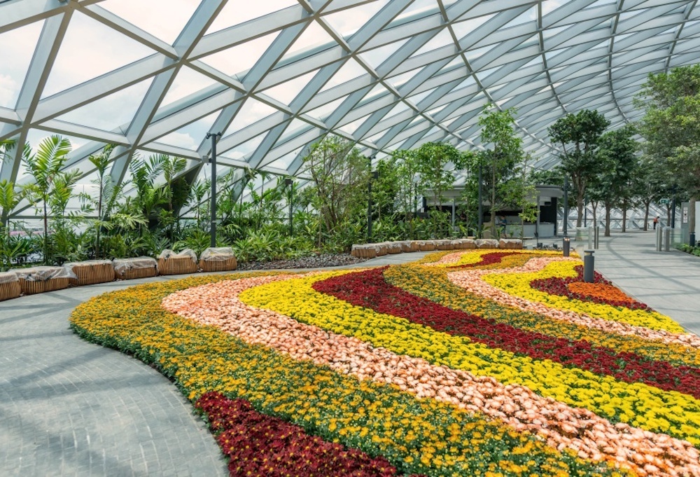 Canopy Park