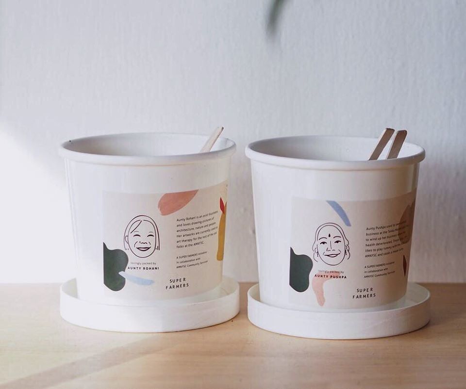 Urban farming kit