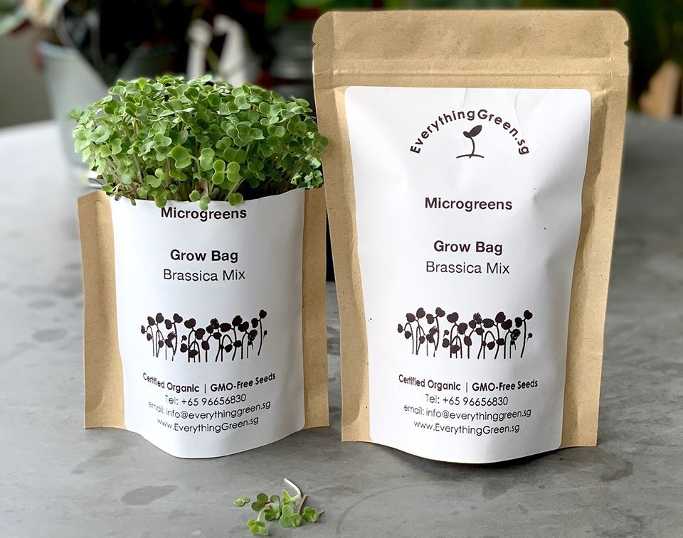 Microgreens Grow Bag