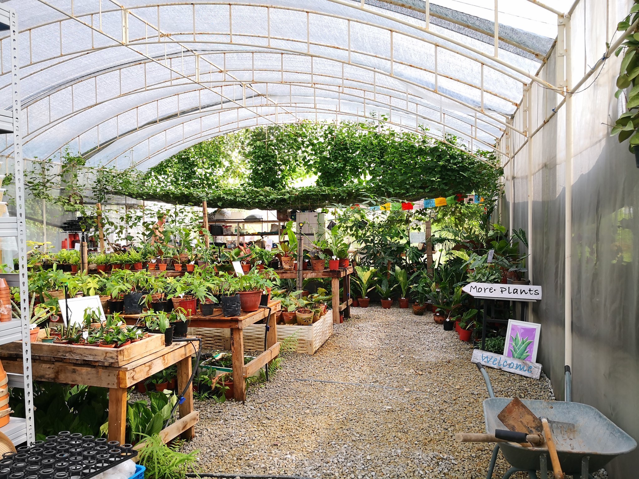 House of Plants greenhouse