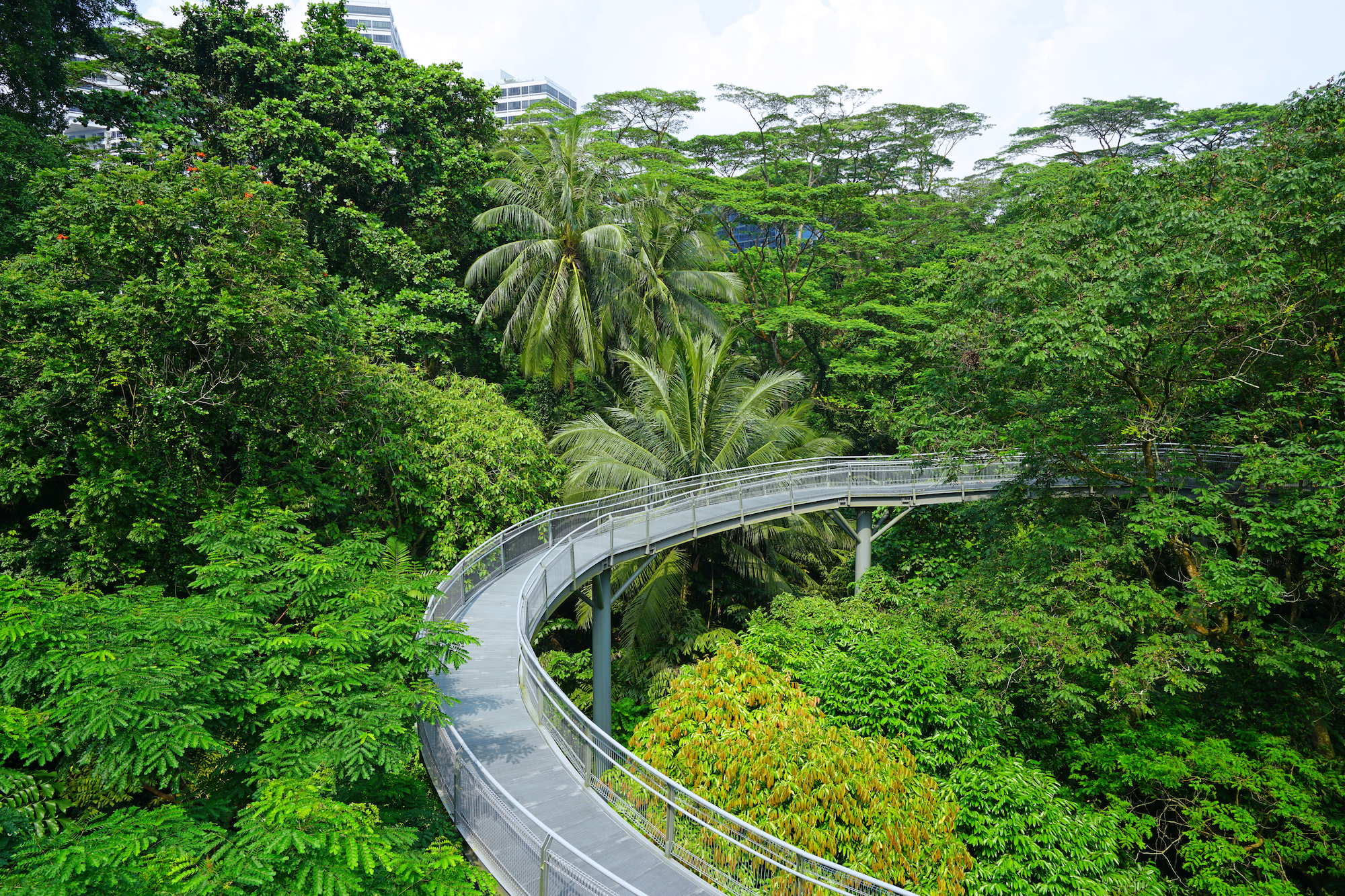 The Southern Ridges