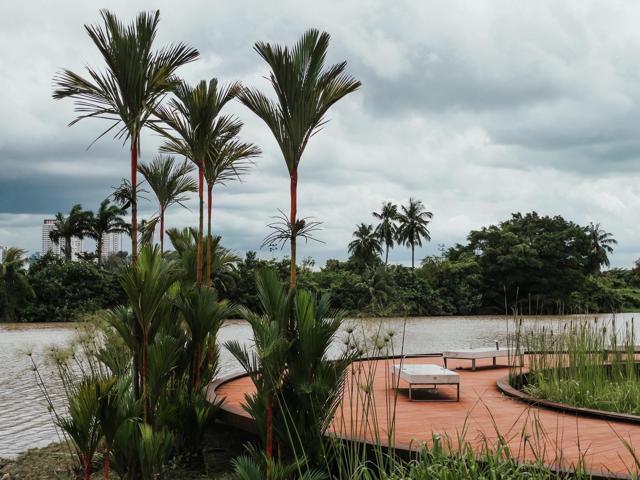 Jurong Lake Gardens