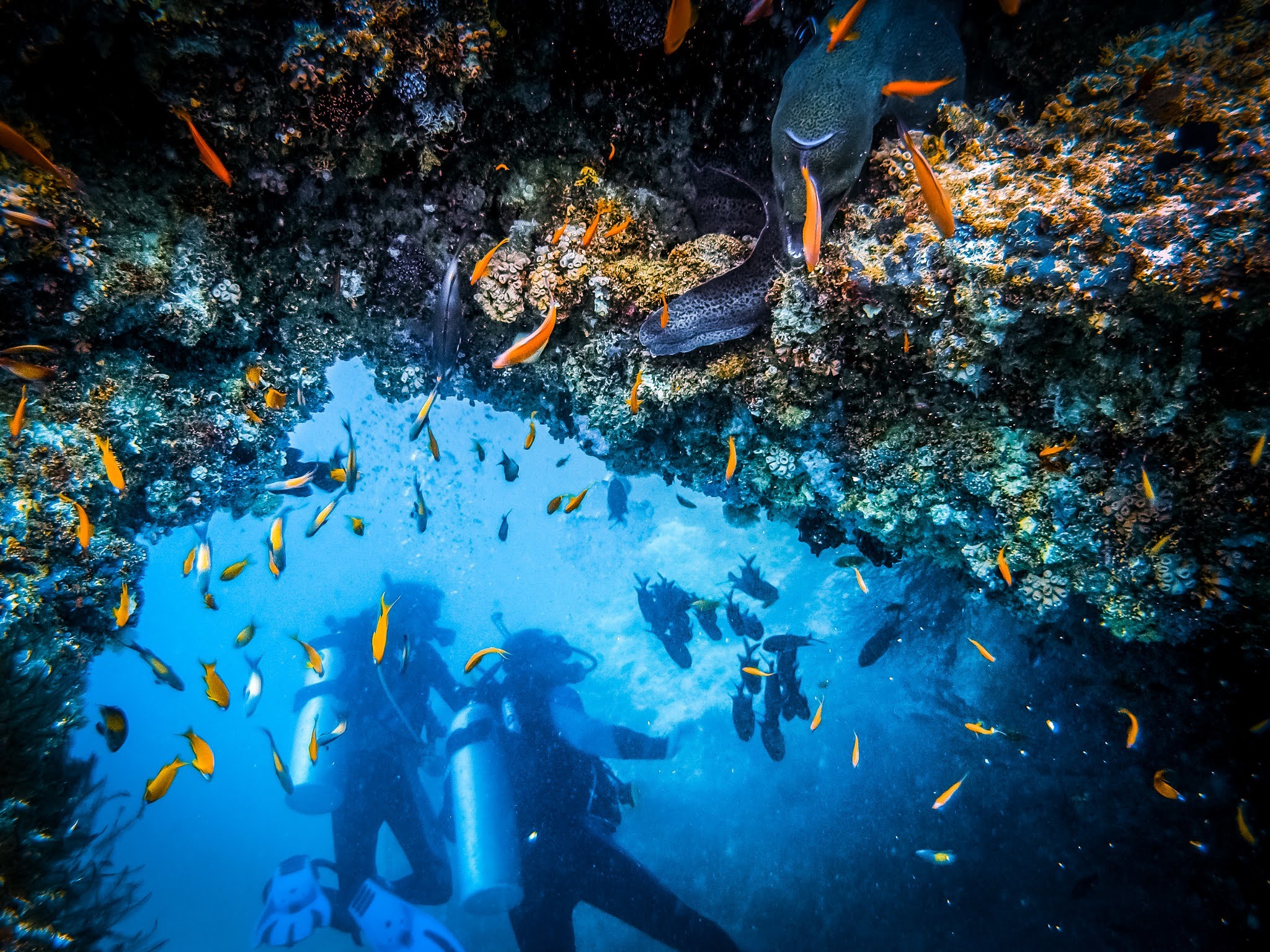 Cave diving. A Divers exploring coral reef life.