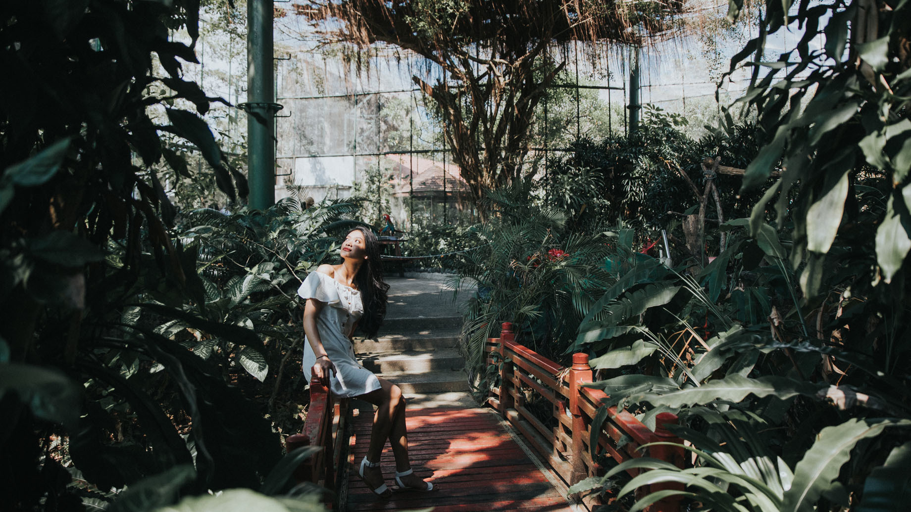 Butterfly Park & Insect Kingdom