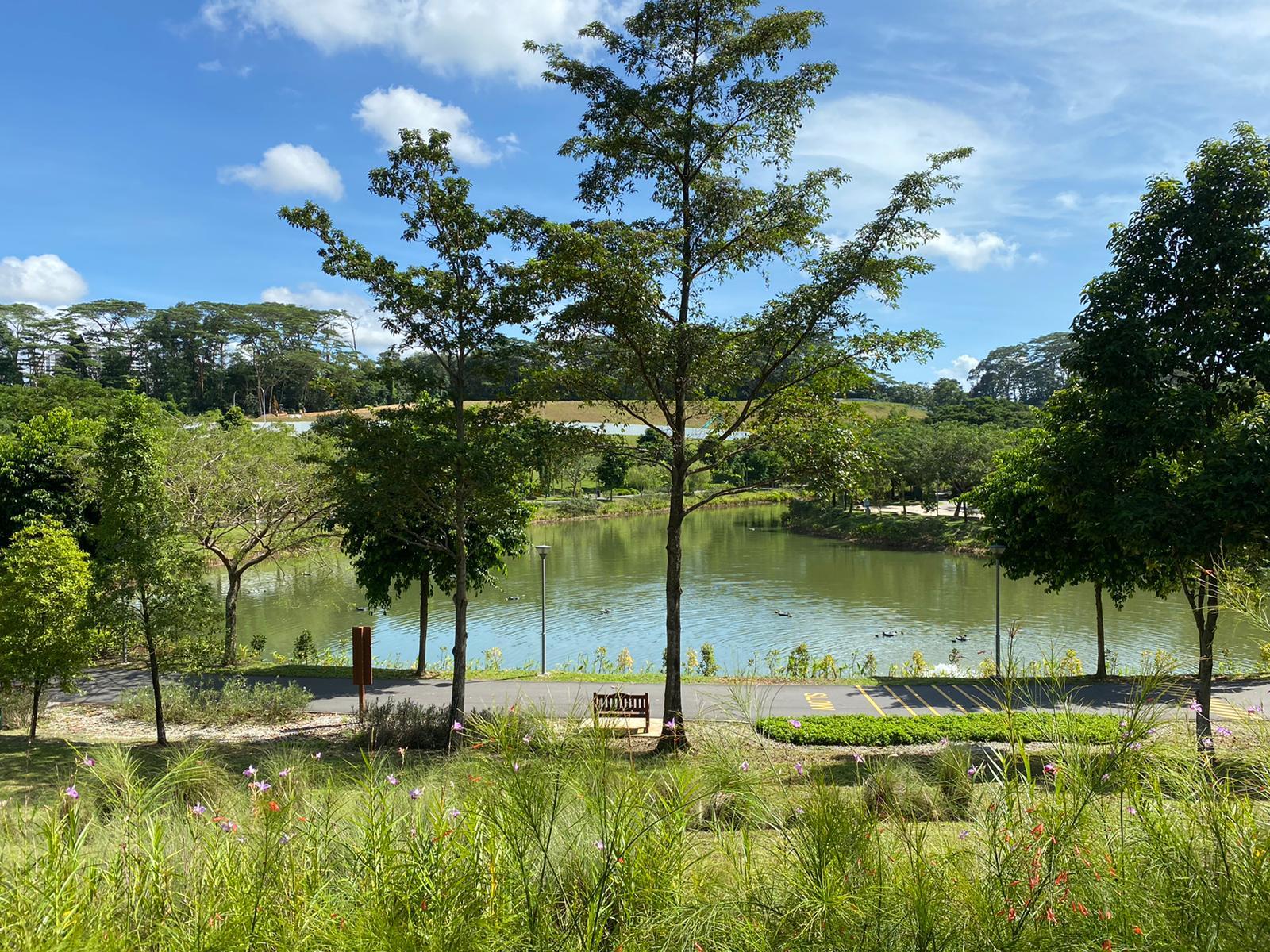 Punggol Waterway Park