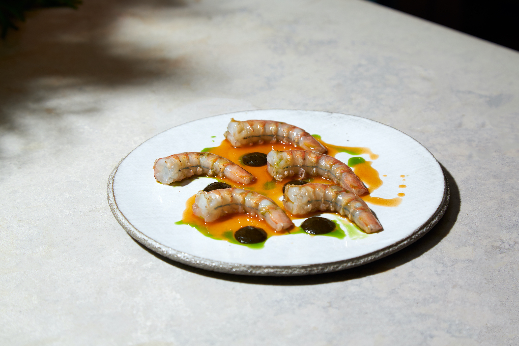 Cenzo Blue Prawn