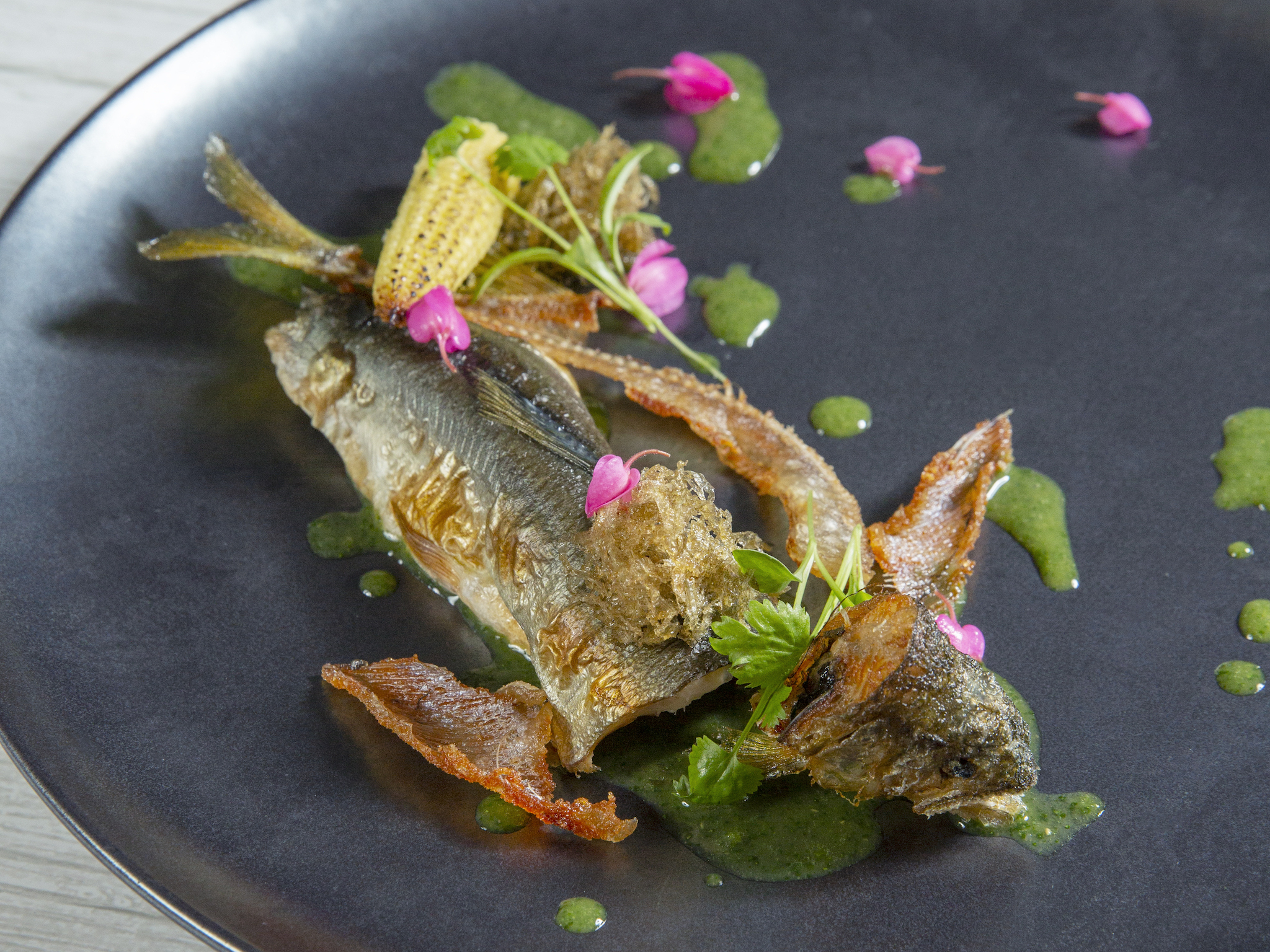 Noka - Fried Ayu