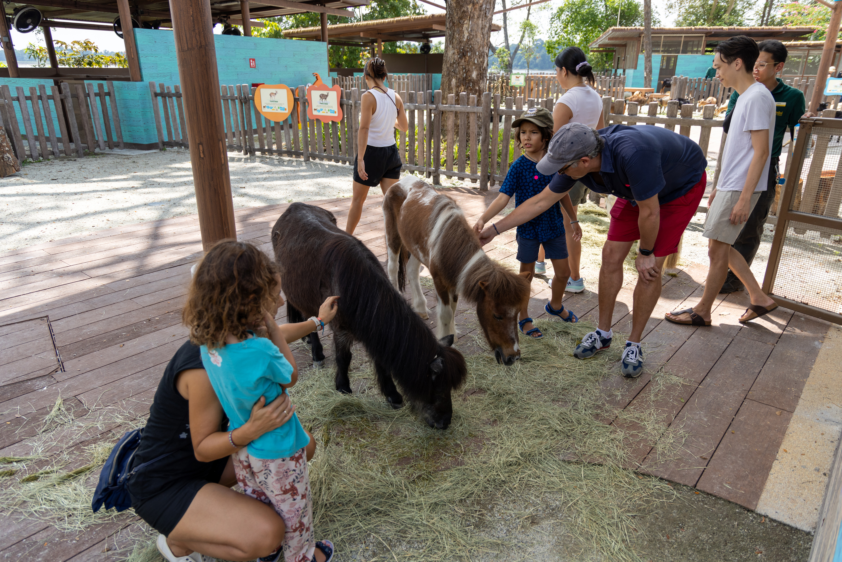 At outdoor habitat, Animal Land
