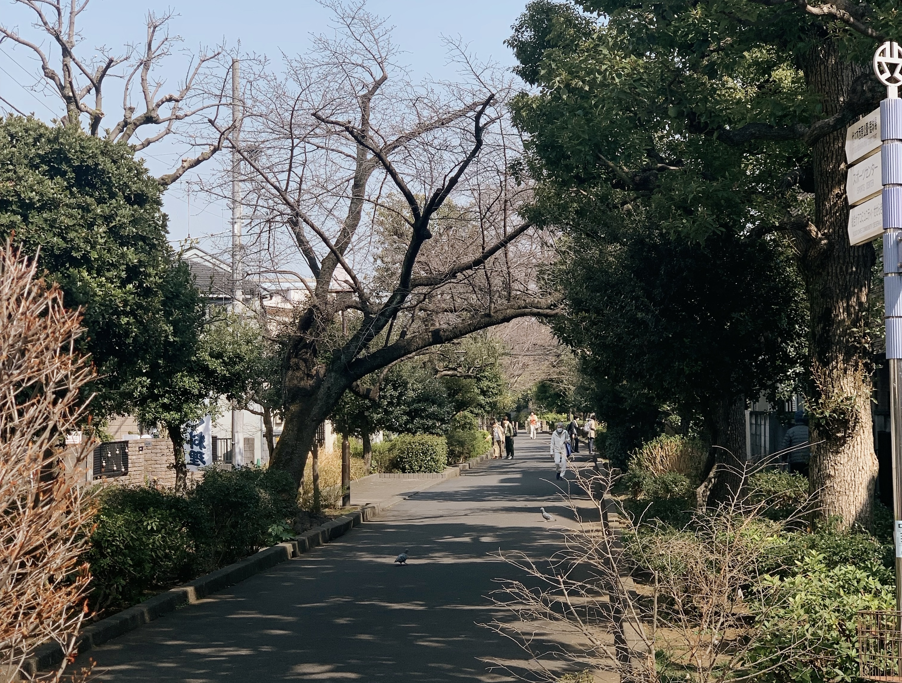 Hatagaya