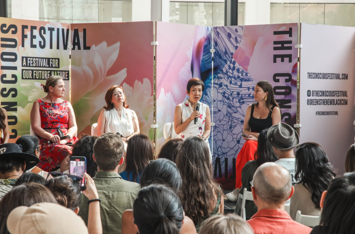 The Conscious Festival