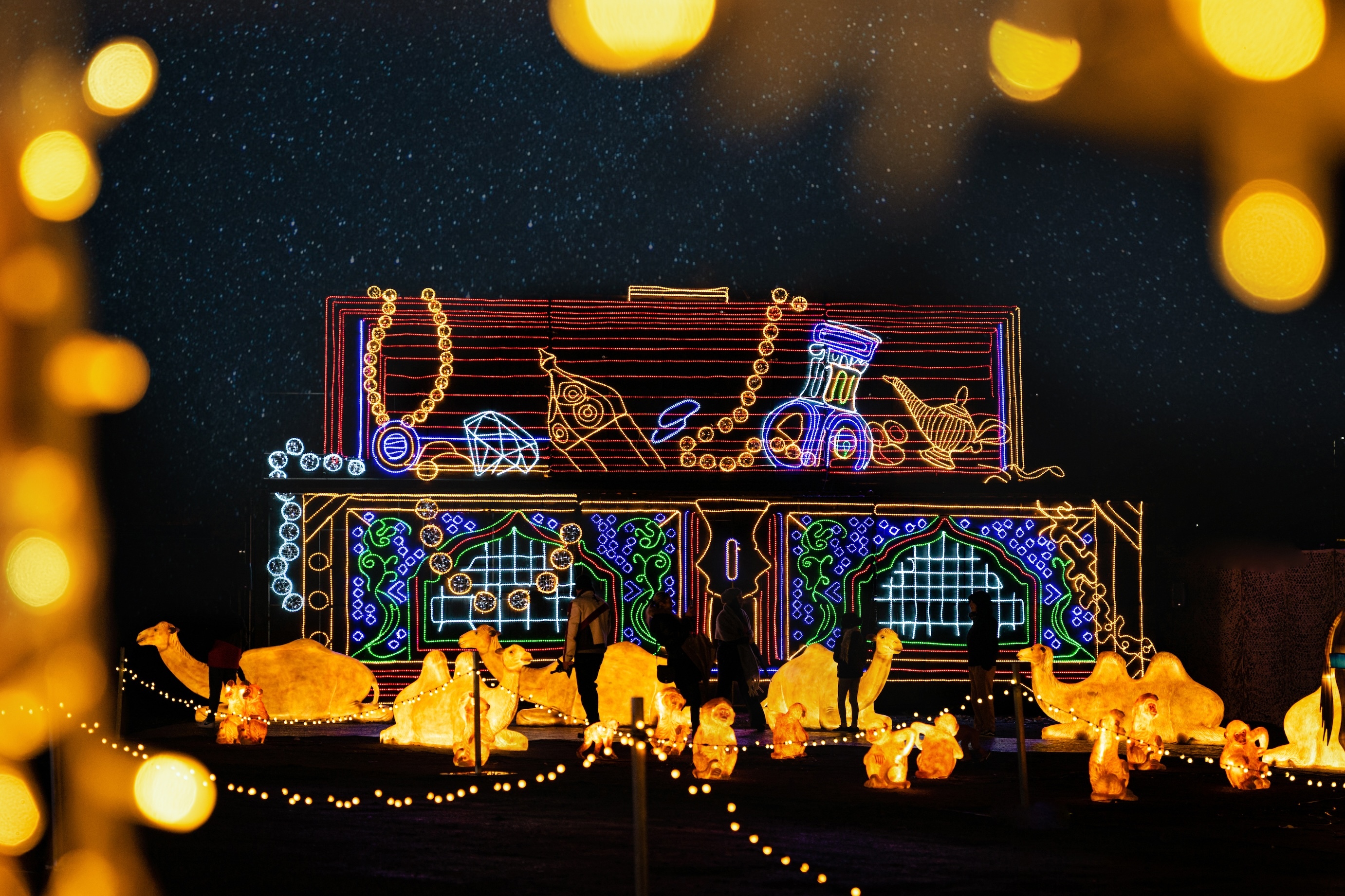 The Dune Palace