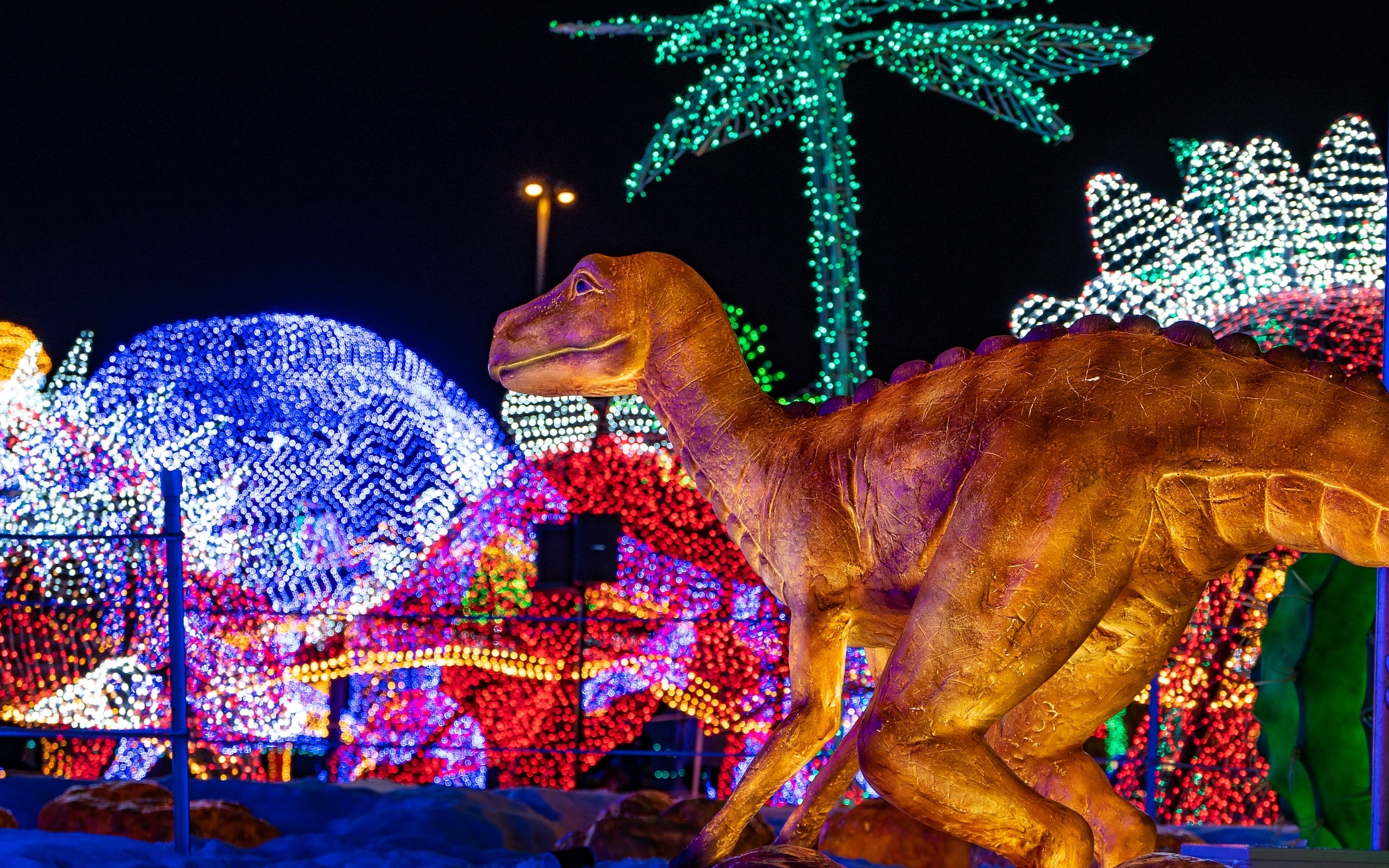 The Jurassic Kingdom