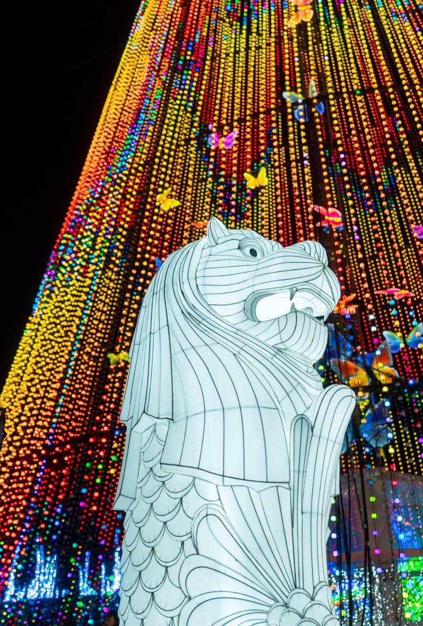 Tree of Lights