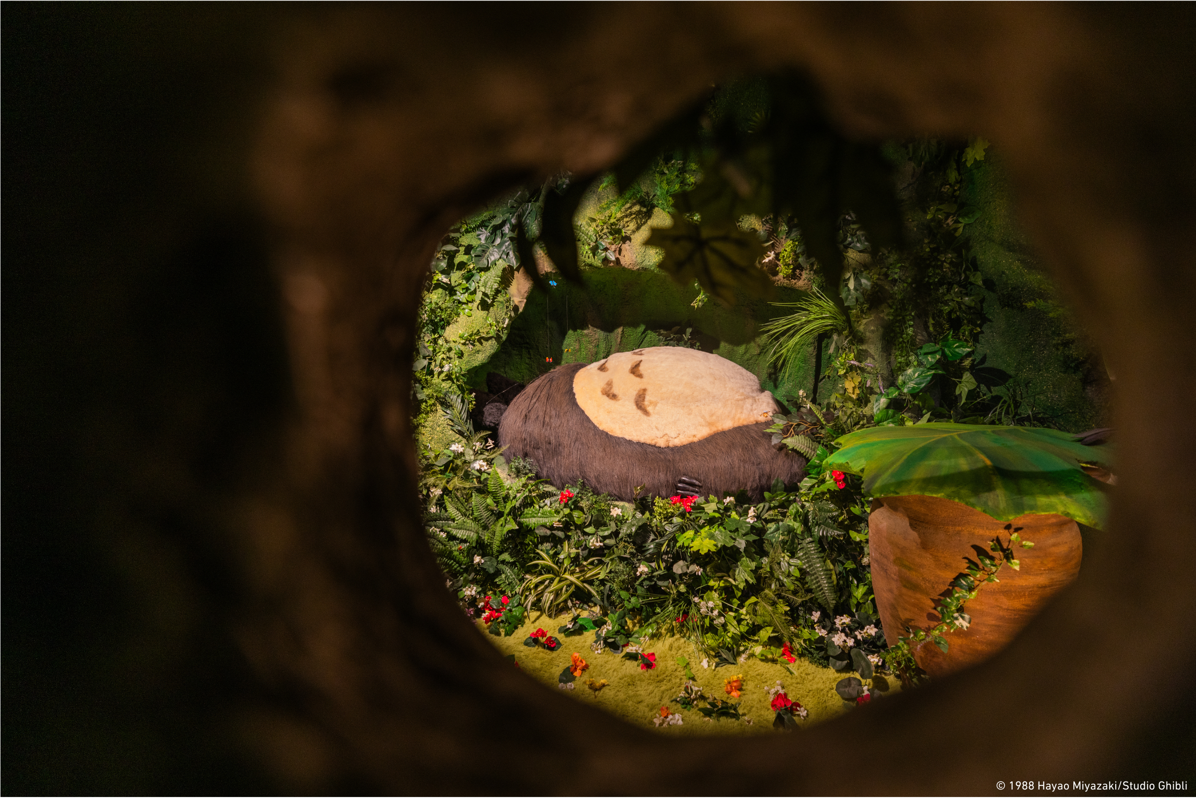 Totoro's Cave in 'My Neighbor Totoro (1988)'