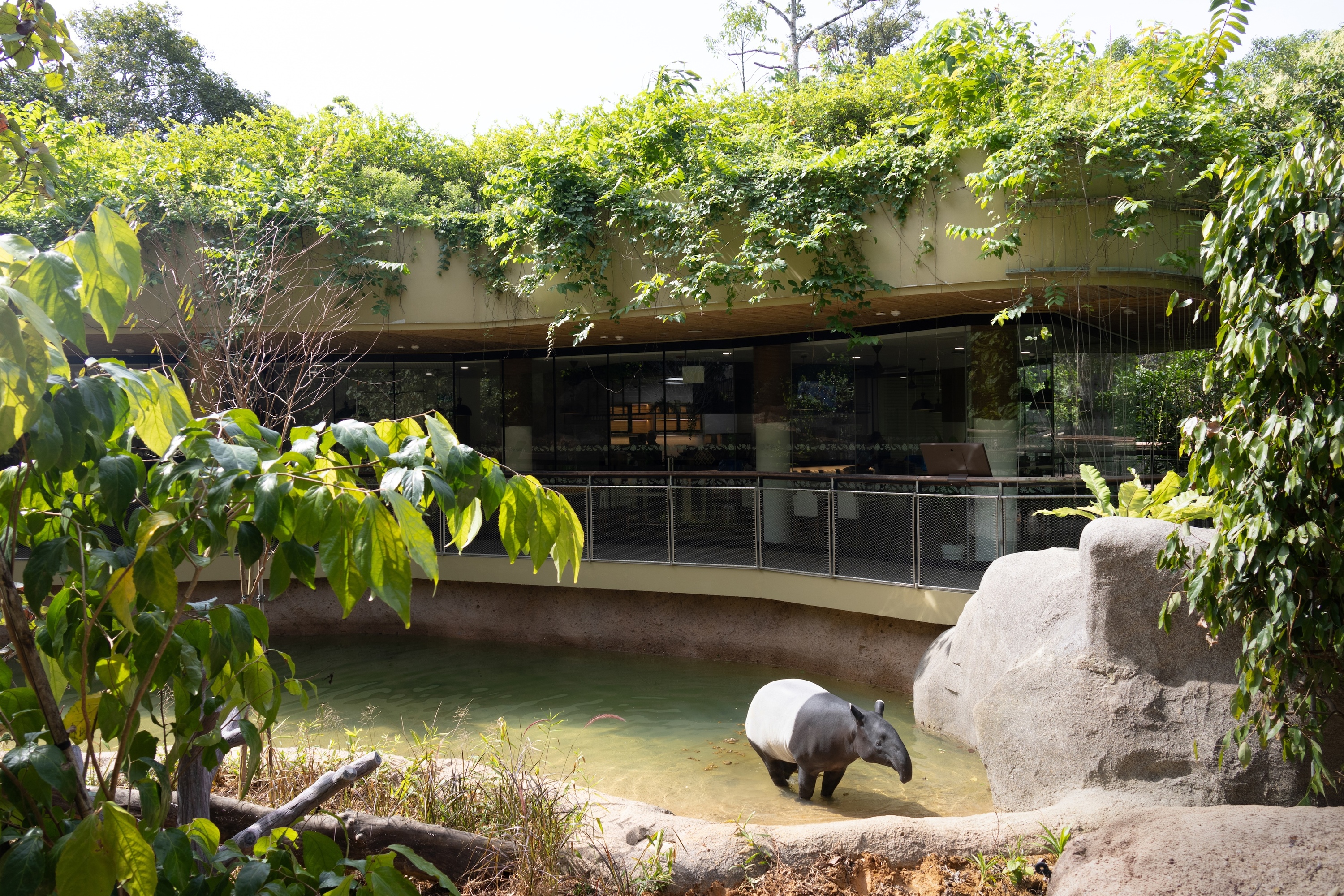Watering Hole