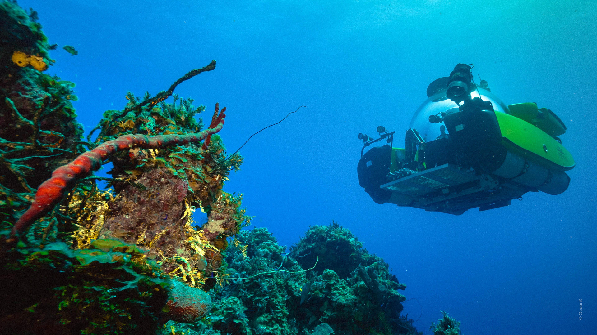 Into the Ocean: Journey Beneath