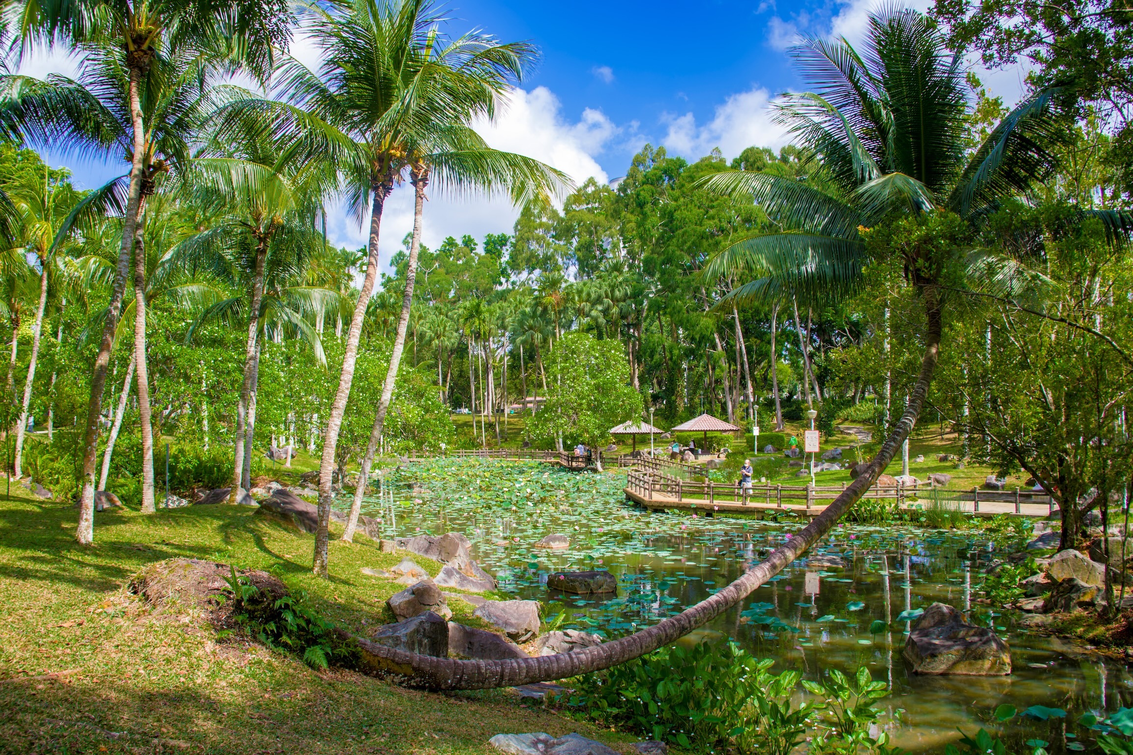 Pond Gardens