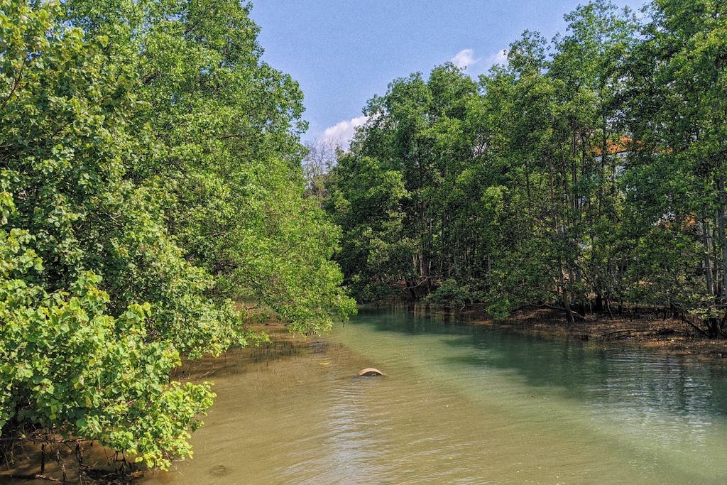 Berlayer Creek