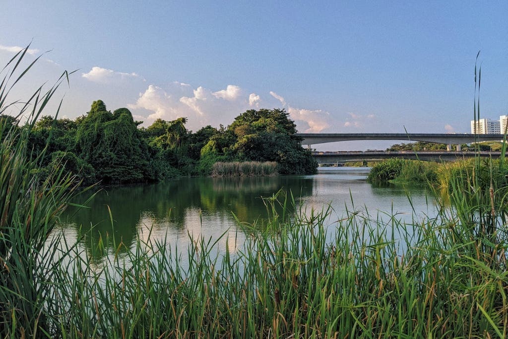sengkang riverside