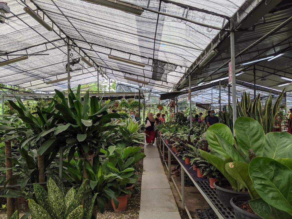 BLG Nursery