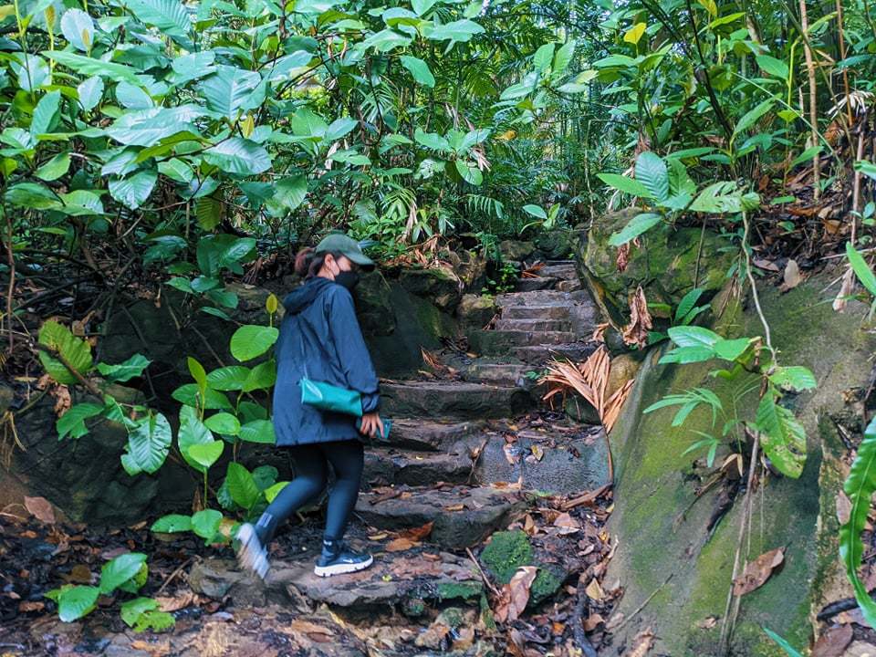 Bukit Batok Hillside Park