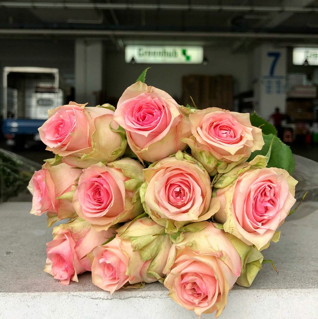 Greenhub Flowers