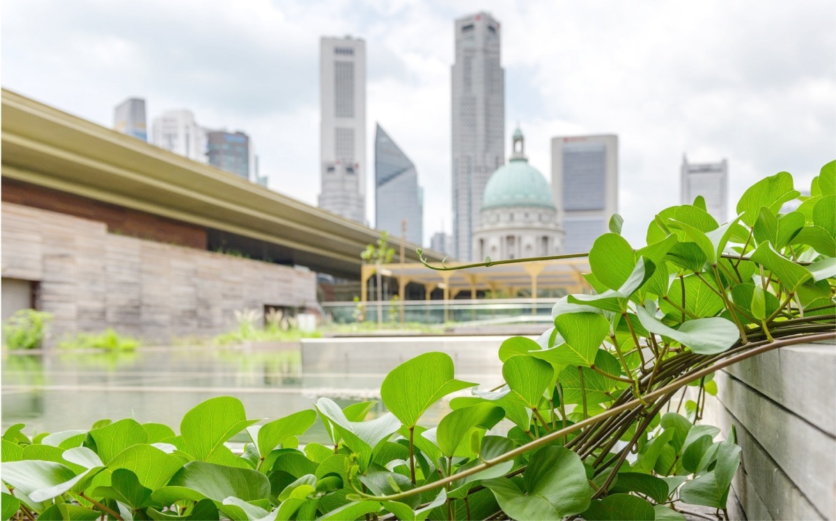 Ng Teng Fong Roof Garden