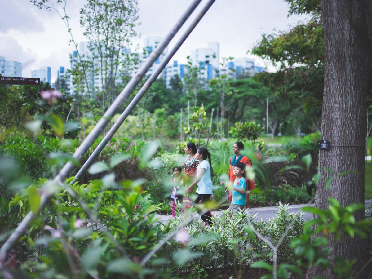 Jurong Lake Gardens