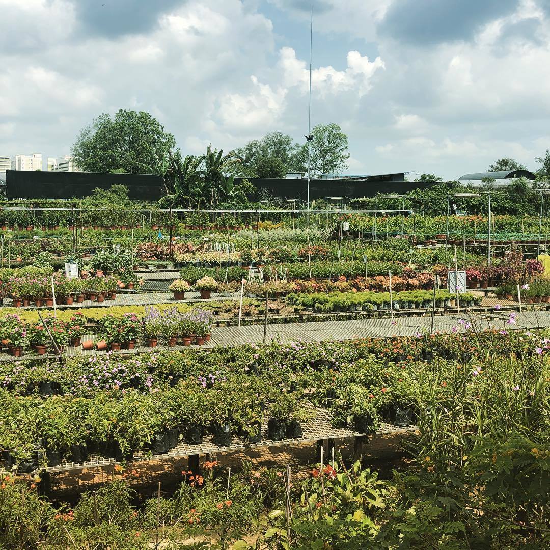 world farm