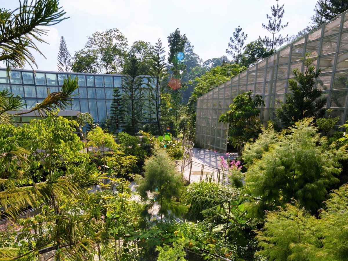 Enhanced National Orchid Garden