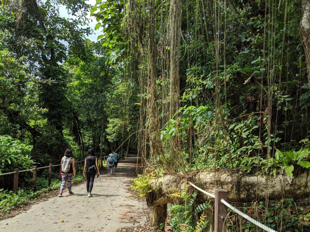 thomson nature park
