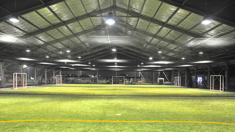 The Cage