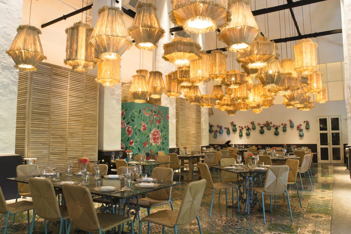 Candlenut interior