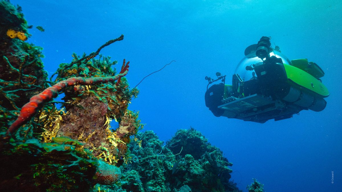 Into the Ocean: Journey Beneath