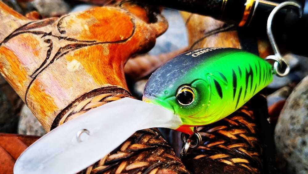 Lure Haven
