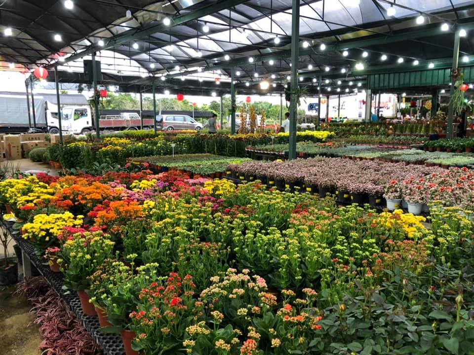 Thong Hup Gardens