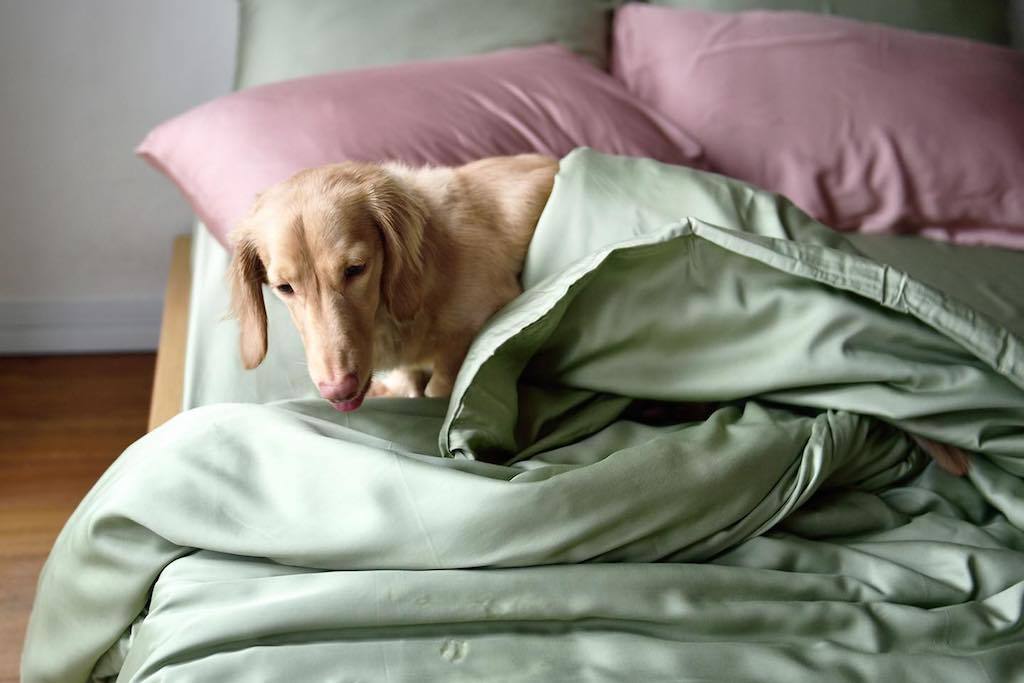 Sunday Bedding