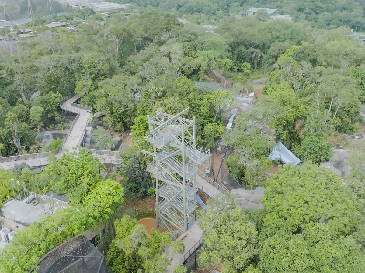 Rainforest Wild Asia